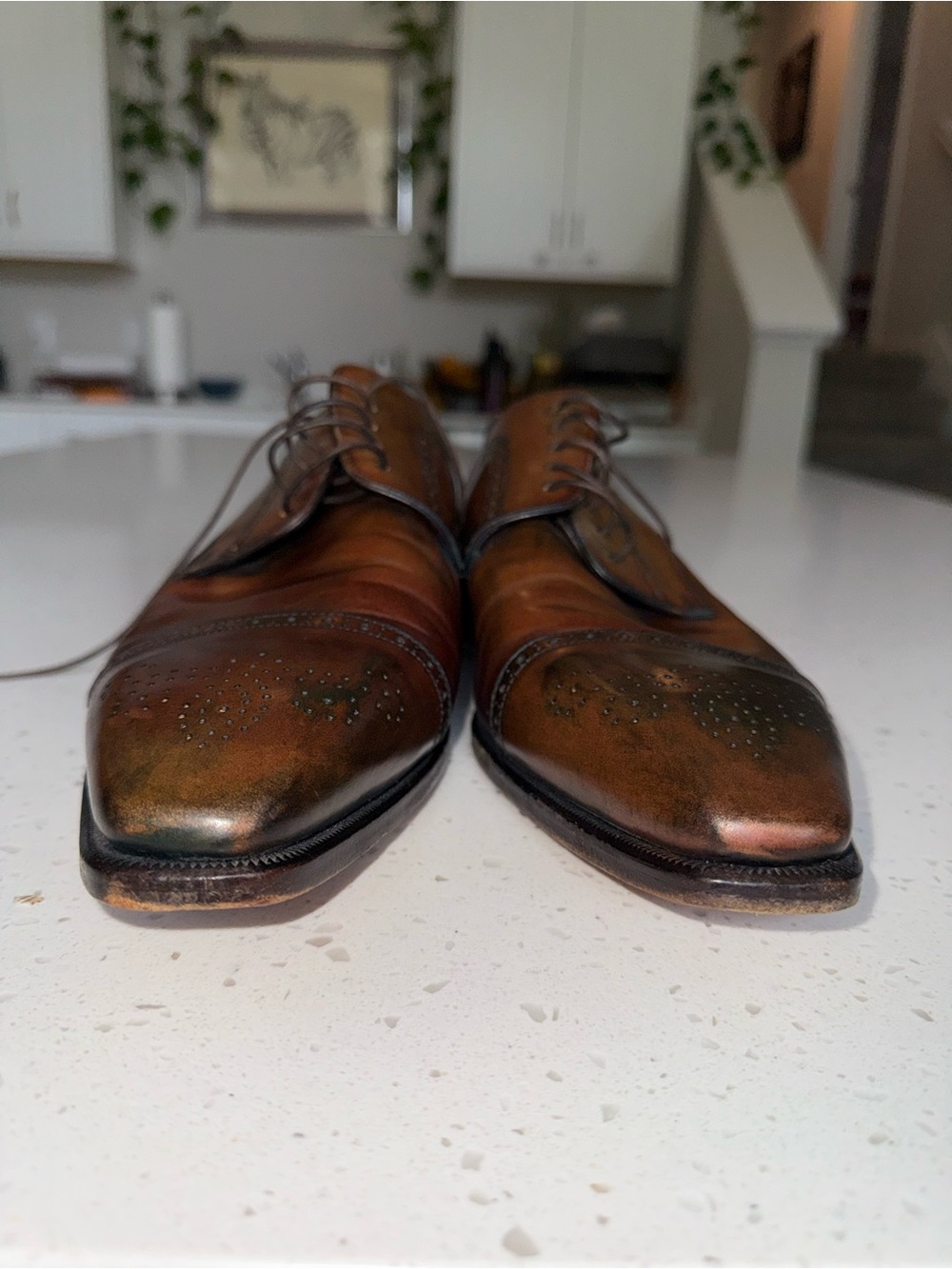 Canali Brown Burnished Leather Cap-Toe Derby Oxfords